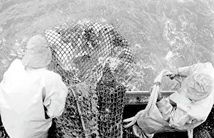 Trawlermen: Life on a North Sea trawler