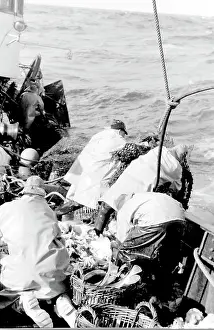 Trawlermen: Life on a North Sea trawler