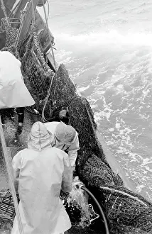 Trawlermen: Life on a North Sea trawler