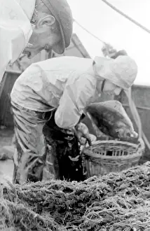 Trawlermen: Life on a North Sea trawler