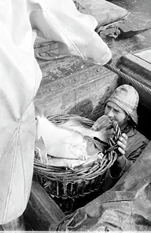 Trawlermen: Life on a North Sea trawler