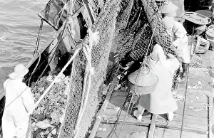 Trawlermen: Life on a North Sea trawler