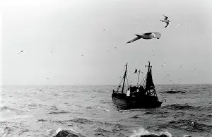 Circling: Life on a North Sea trawler
