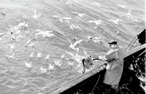 Starfish: Life on a North Sea trawler