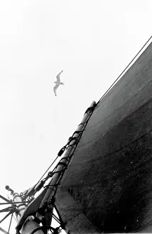 Circling: Life on a North Sea trawler