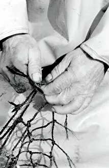 Trawlermen: Life on a North Sea trawler