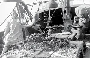 Sorted: Life on a North Sea trawler