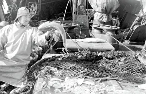 Sorted: Life on a North Sea trawler