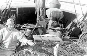 Sorted: Life on a North Sea trawler