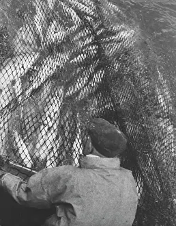 Trawlermen: Life on a North Sea trawler