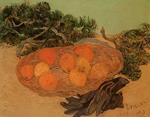 Lemons: Still Life of Oranges with Lemons and Blue Gloves, by Van Go