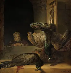 Morte: Still Life with Peacocks
