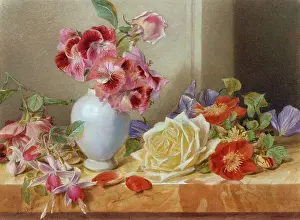 Fuchsia: Still Life of Roses and Fuchsia on a ledge