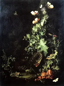 1690s: Still Life with a Snake