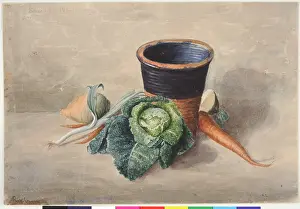 Vegetables: Still Life with Vegetables, Roxburgh Terrace, Edinburgh