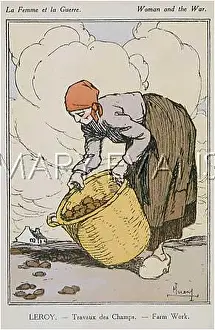 C1915: LIFTING POTATOES C1915