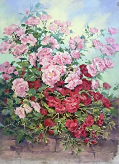 Caryl: Light and dark pink roses