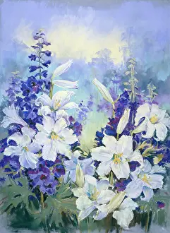 Delphiniums: Light and dark pink roses