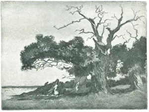 Gnarled: The Last Light Of Evening
