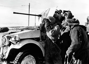 Observe: Light flak at the Don Bend, 1943