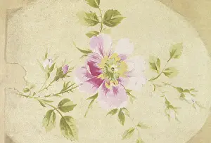 Baise: A light purple flower on a baise background