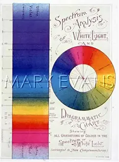 Complement: LIGHT SPECTRUM
