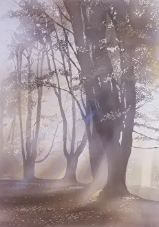Airbrush: Light through the trees