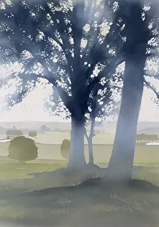 Airbrush: Light through the trees
