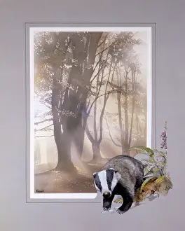 Airbrush: Light through the trees with Badger border