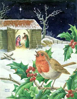 Snowscene: The Lighted Stable - with robin on holly