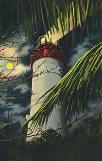 Flor: Lighthouse and Palm. Key West