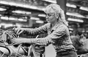 Goncharova: Likhachev Automobile Plant