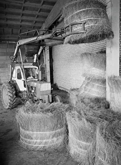 Puts: Likhoslavl flax-processing plant