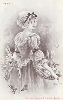 Bowley: Lilies