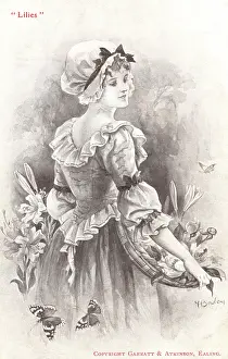 Bowley: Lilies