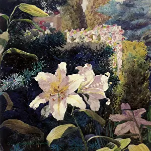 Buds: Lilies