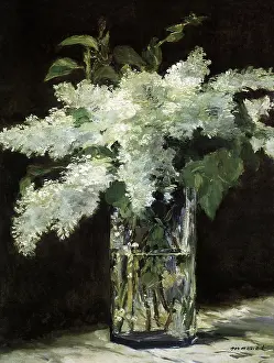 Spreading: Lilies in a Glass, by Manet