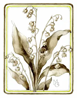 Gillies: Lilies of the Valley