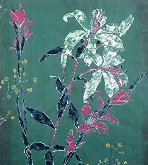 Pattinson: Lilies ' white and pink lilies