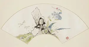 Dragonflies: Lily and dragonfly