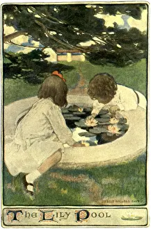 Surrounds: The Lily Pool
