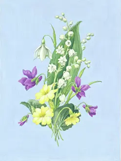 Primroses: Lily of the valley, snowdrop, violets, primroses