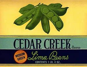 Lima: Lima Bean Ad