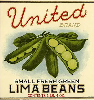 Lima: Lima Bean Label