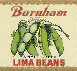 Lima: Lima Beans