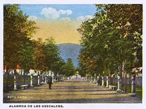 Alameda: Lima, Peru - Alameda de los Descalzos