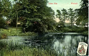 Lime: The Lime Pits, Walsall, Staffordshire