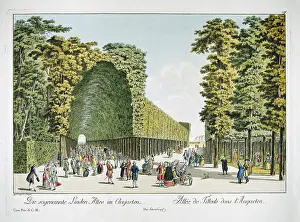 Artaria: Lime tree avenue in the Augarten