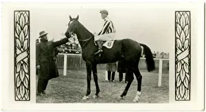 Jockeys: Limerick, Australian race horse