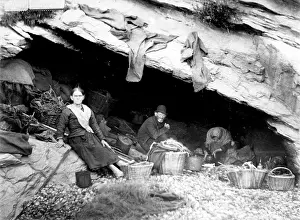 Limpets: Limpet gatherers in Cornwall 1895